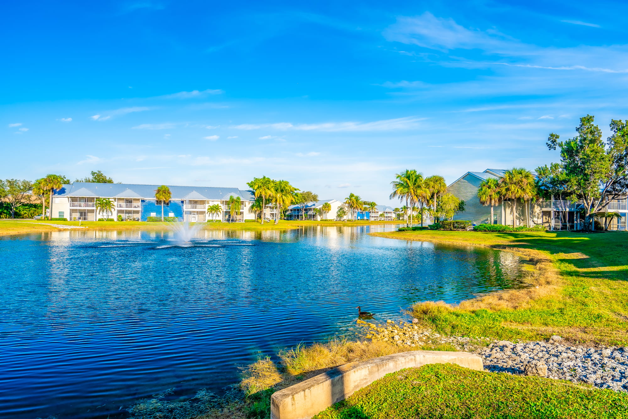 A serene lake with a fountain in the middle, surrounded by palm trees and buildings.